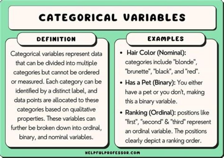 Are Boolean variables categorical?
