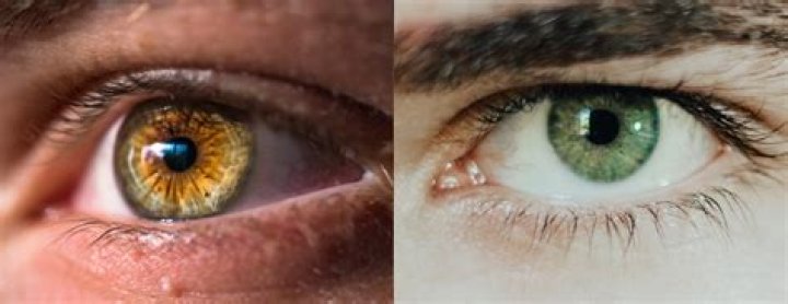 Are brown eyes dominant to green?