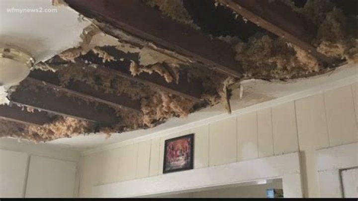 Are ceiling collapses common?