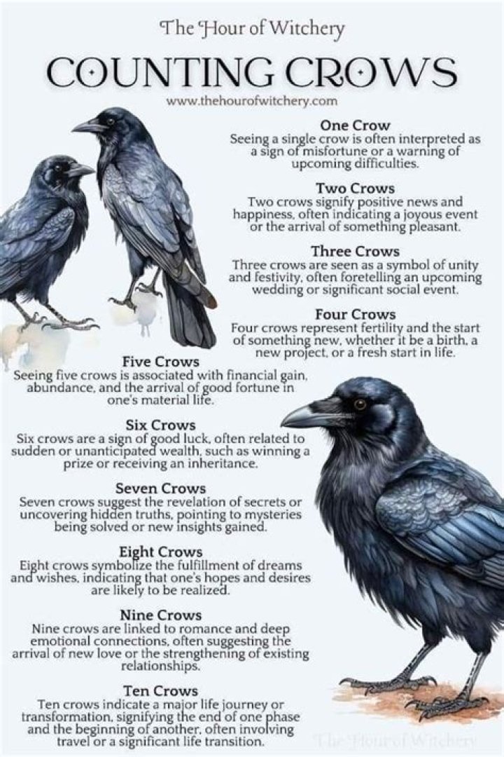 Are crows scared of dead crows?