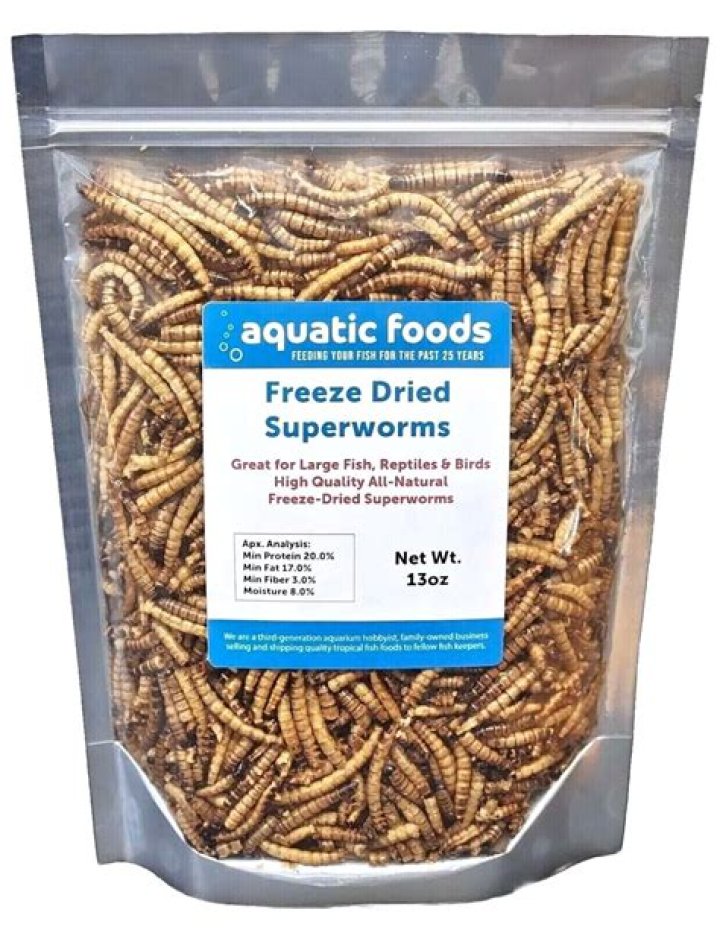 Are dried mealworms high in calcium?