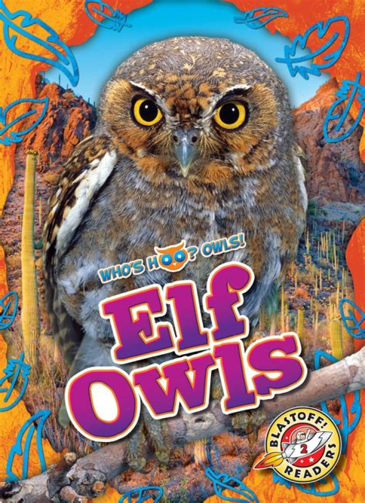 Are elf owls as predators?