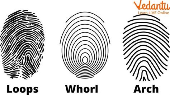 Are fingerprints permanent?