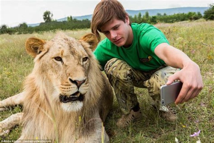 Are lions friendly to humans?