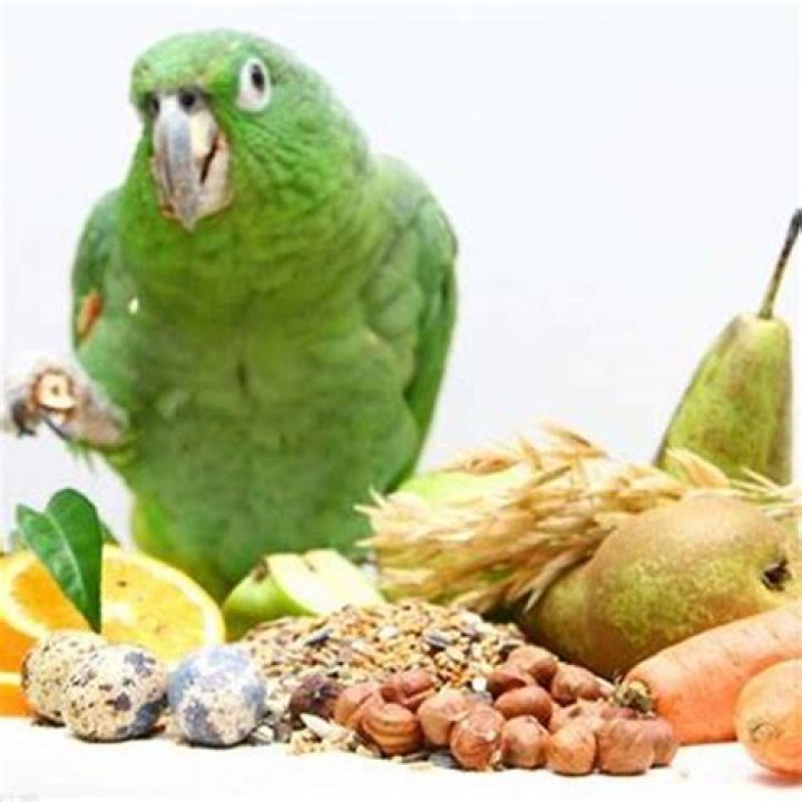 Are peanuts bad for parrots?