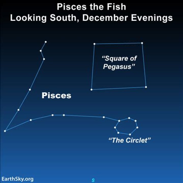 Are Pisces good moms?
