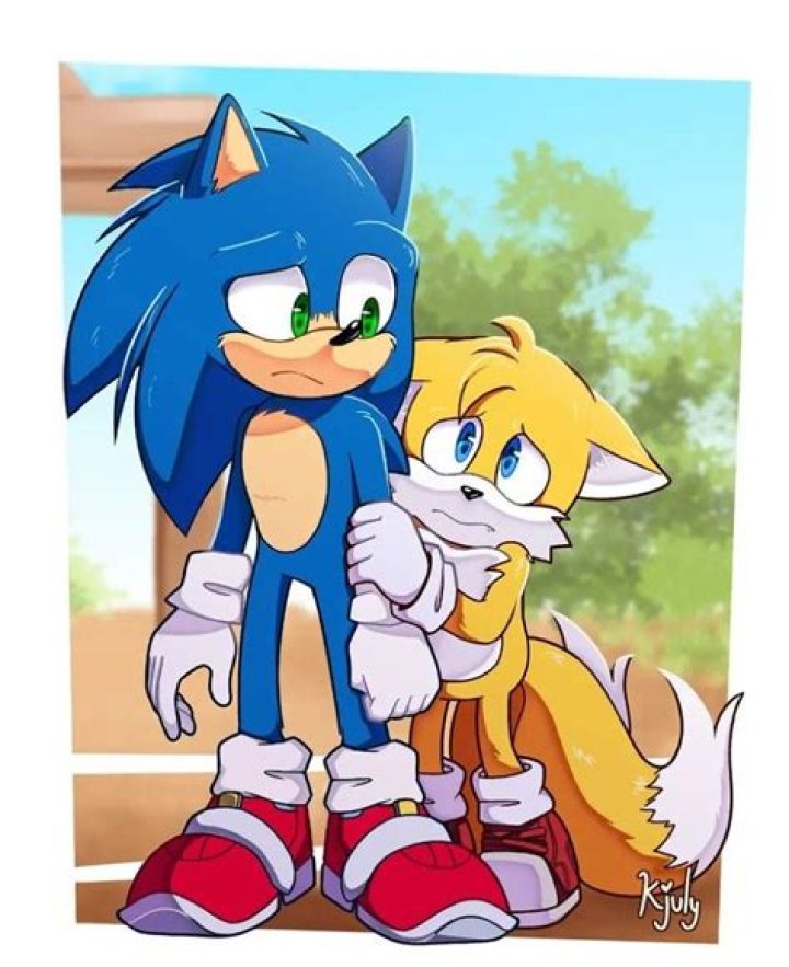 Are Sonic and Tails a couple?