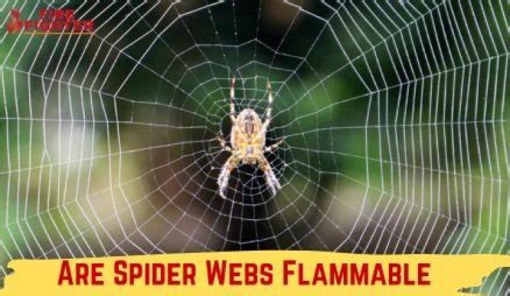 Are spiders attracted to fire?