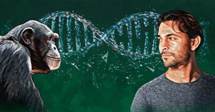 Are there chimpanzees in Mexico?