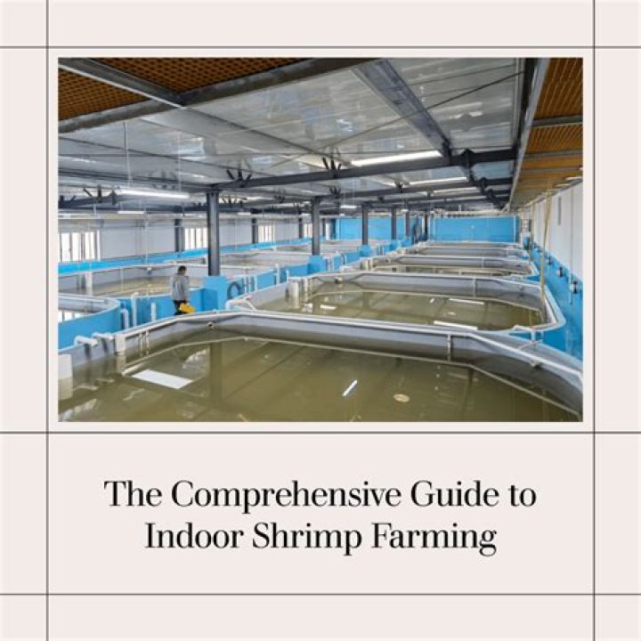 Are there shrimp farms in the US?