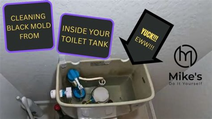 Are you supposed to clean your toilet tank?