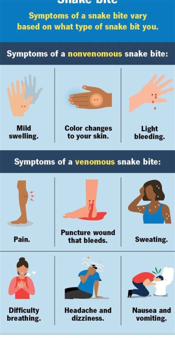 Can a dead snake bite you?