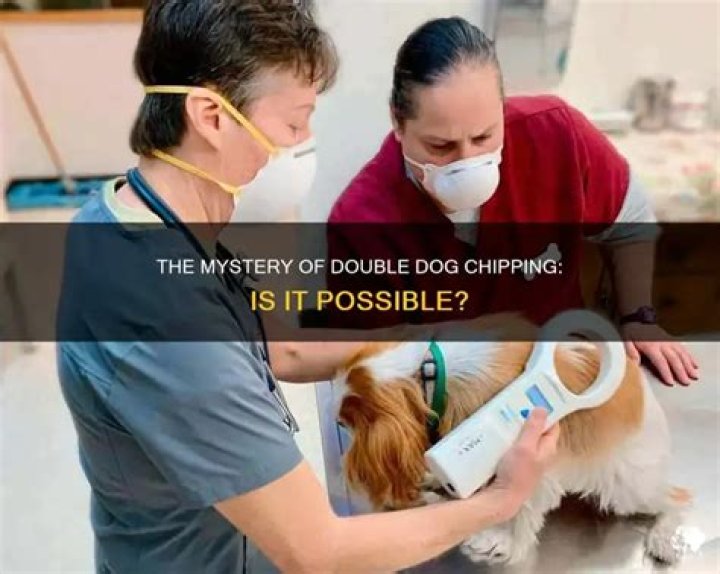 Can a dog be microchipped twice?