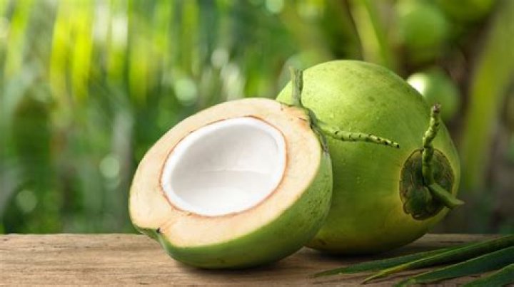 Can a dog eat coconut?