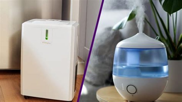 Can a humidifier cause a fever?