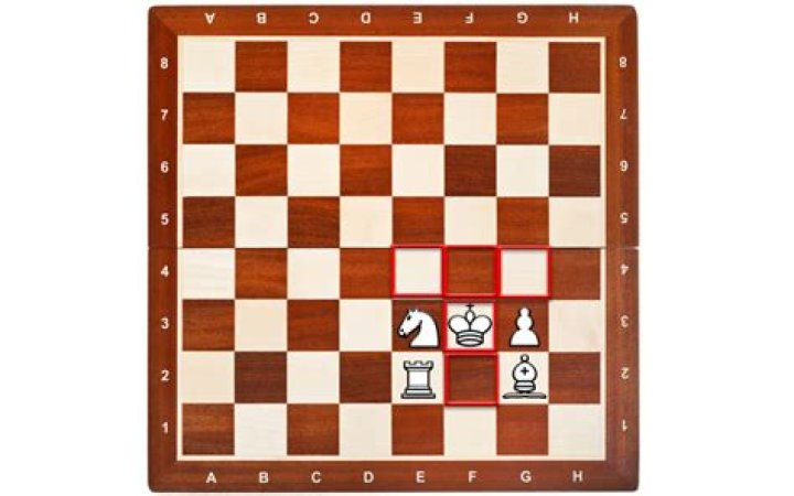 Can a king take a piece?