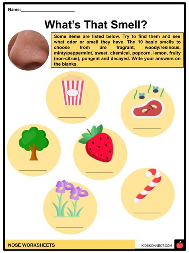 Can a piece of brain come out of your nose?
