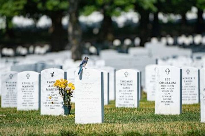 Can a spouse be buried in a military cemetery?
