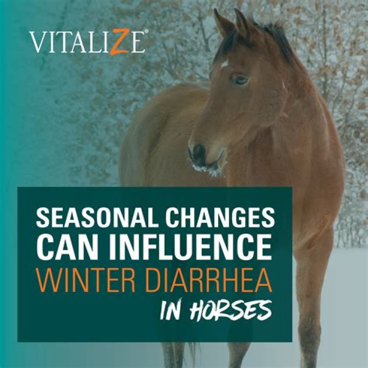 Can Alfalfa cause diarrhea in horses?