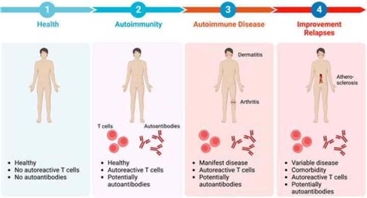 Can autoimmune disease go away?