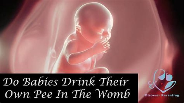 Can babies pee in the womb?