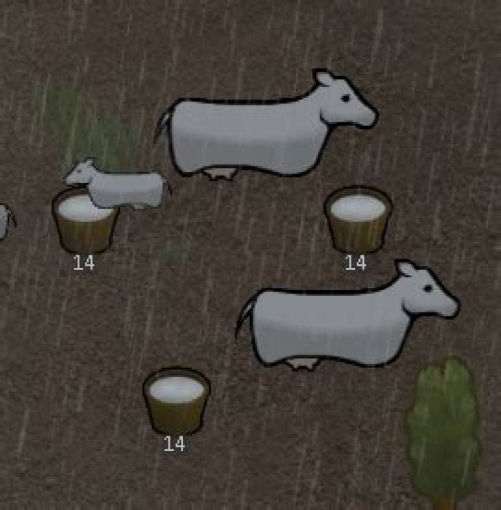 Can Baby Wyverns eat meat?