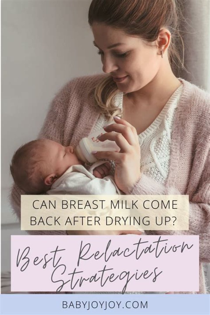 Can breast milk come back after drying up?