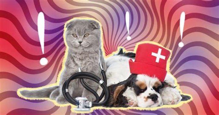 Can breathing dog feces make you sick?