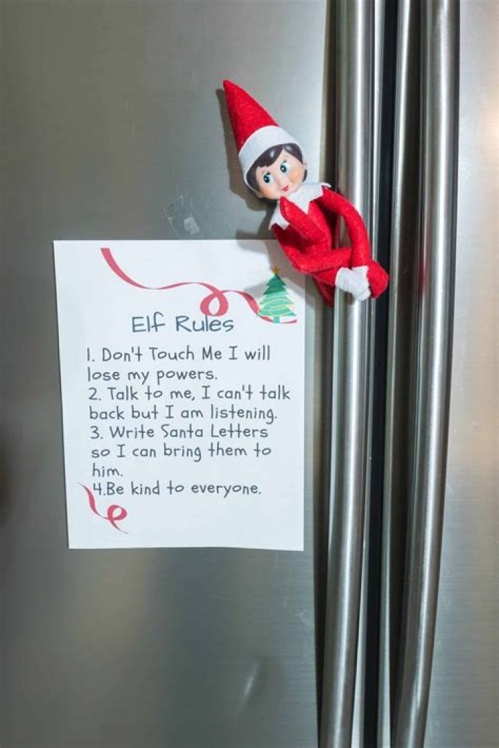 Can cats touch the elf on the shelf?