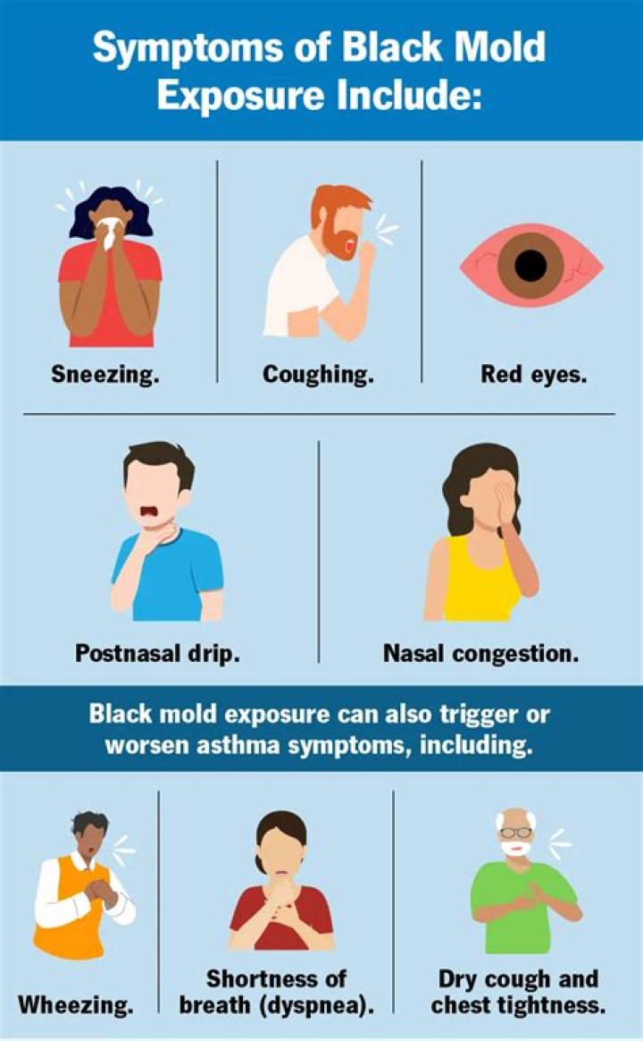 Can cleaning up black mold make you sick?