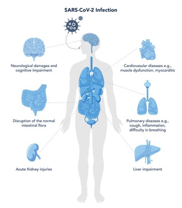 Can COVID-19 damage organs?