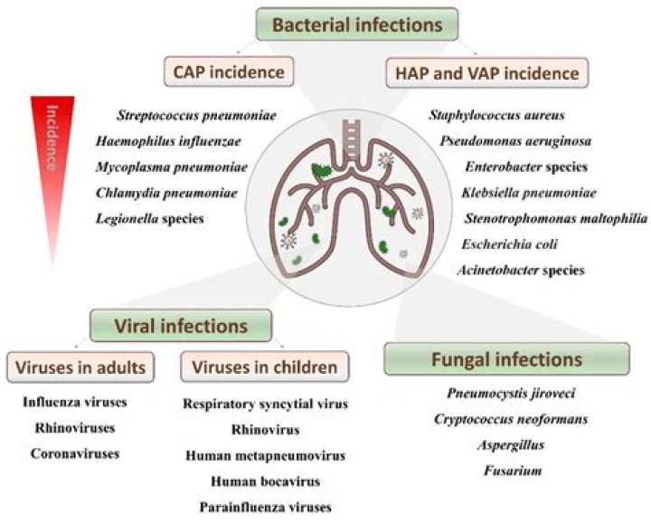 Can CRP distinguish viral and bacterial infections?
