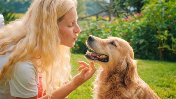 Can dogs be in love with their owners?