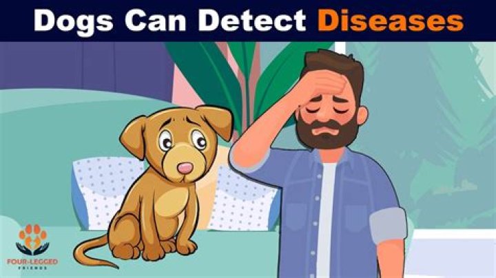 Can dogs detect if you're sick?