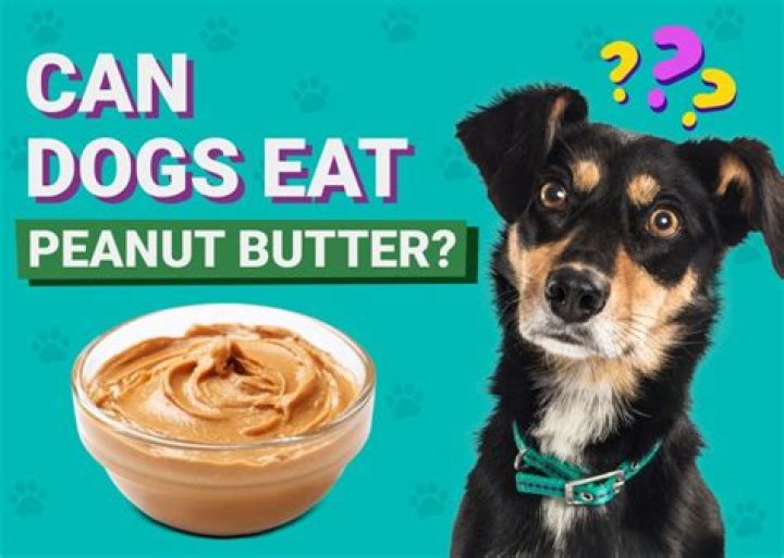 Can dogs eat peanut butter crunch?