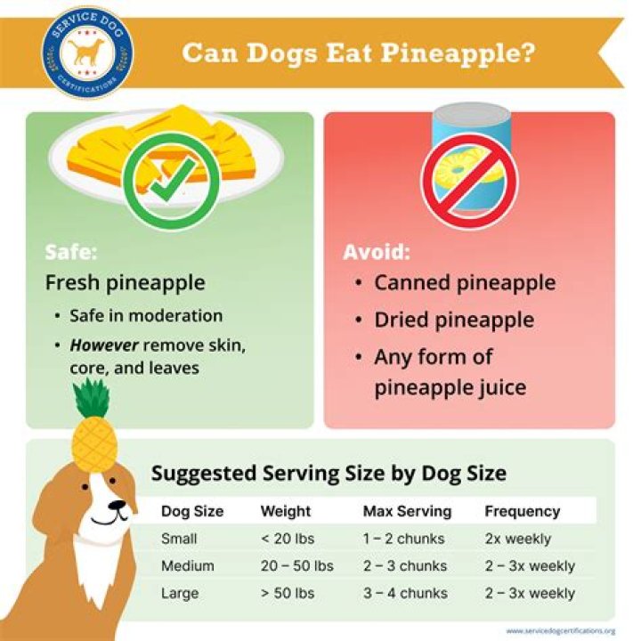 Can dogs eat pineapple?