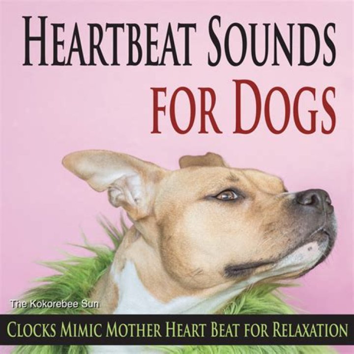 Can dogs hear your baby's heartbeat?