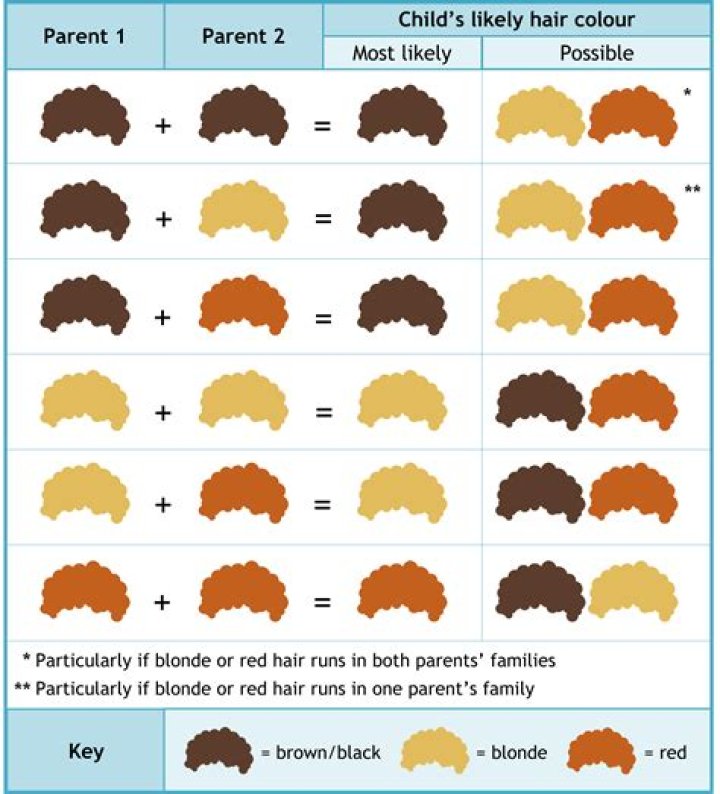 Can hair color skip a generation?