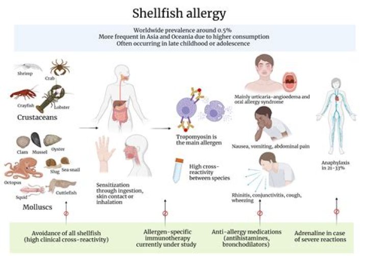 Can I be allergic to scallops and not shrimp?