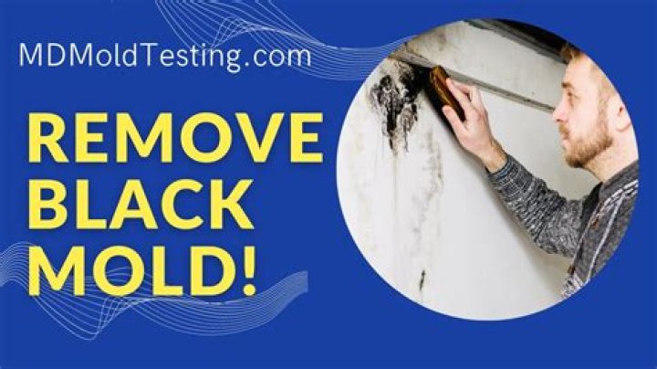 Can I clean black mold myself?