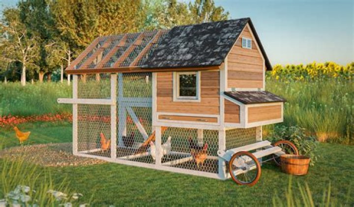 Can I clean chicken coop with vinegar?