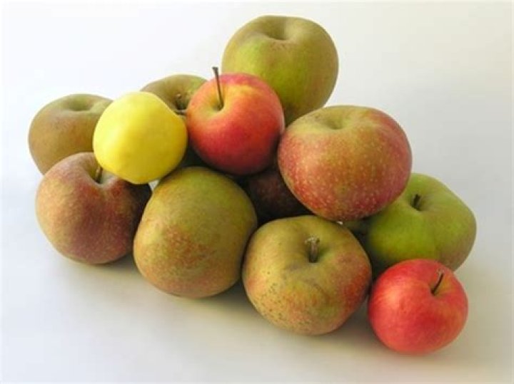 Can I compost apples with brown rot?