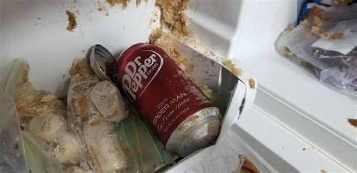 Can I drink soda after tattoo?