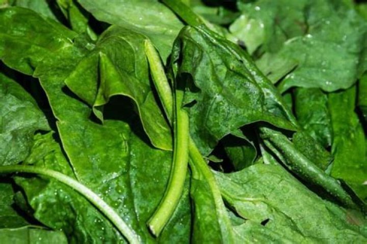 Can I eat raw spinach?