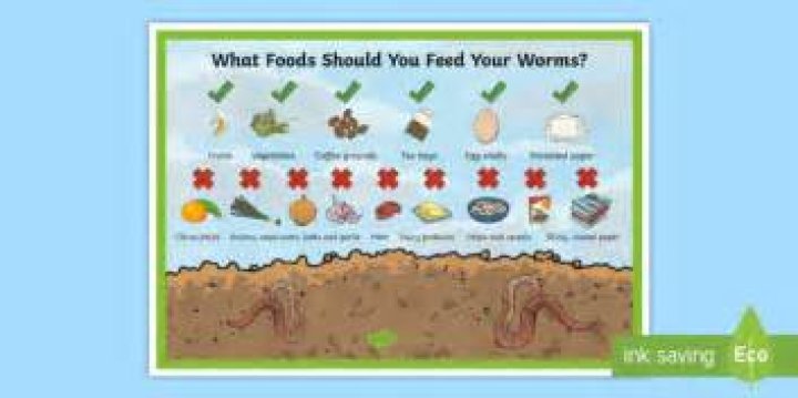 Can I feed my worms nuts?