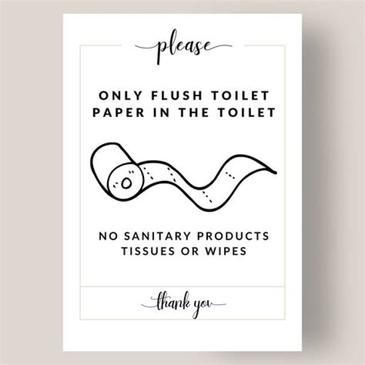 Can I flush toilet paper in Paris?