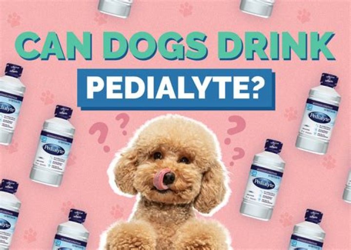 Can I give my dog Pedialyte for parvo?