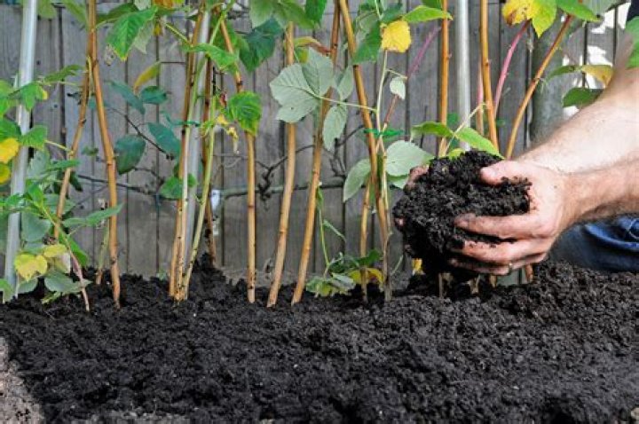 Can I mix cow manure and compost?