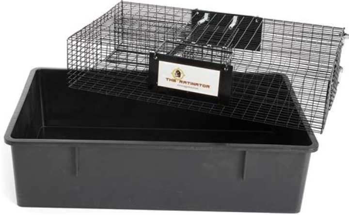 Can I put baking soda in my rat cage?