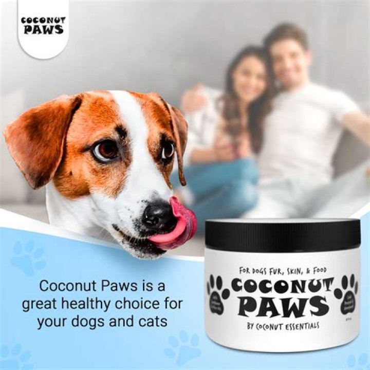 Can I put coconut oil on my dogs paws?